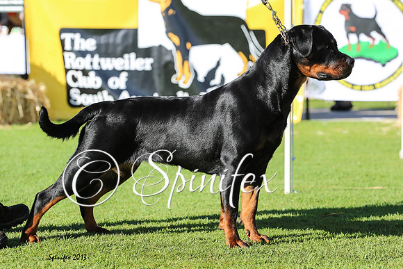 Blickscharf Wicked Winsome