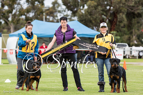 RCSAJ2014-6488