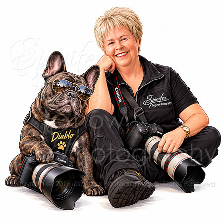 Spinifex Photographer and Cool Bulldog Duo