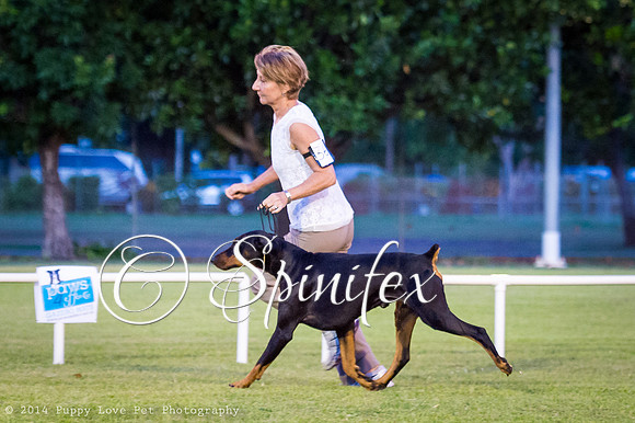 cc_140510_dogs_DABKC_0056