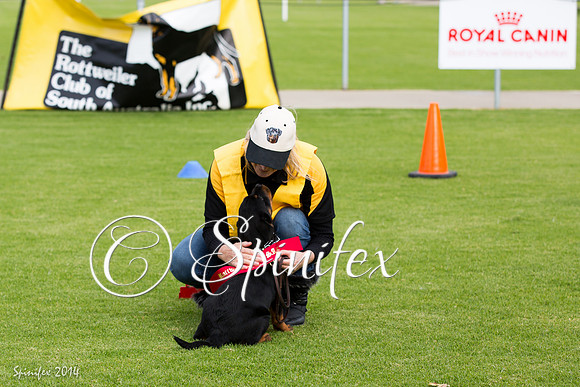 RCSAJ2014-5387