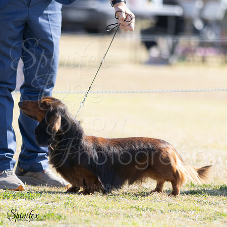SfxY-6284