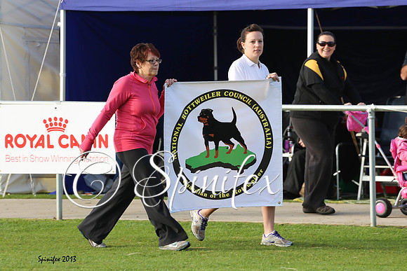 Parade of State Clubs and  Flags