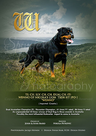 FCDS Rottweiler W