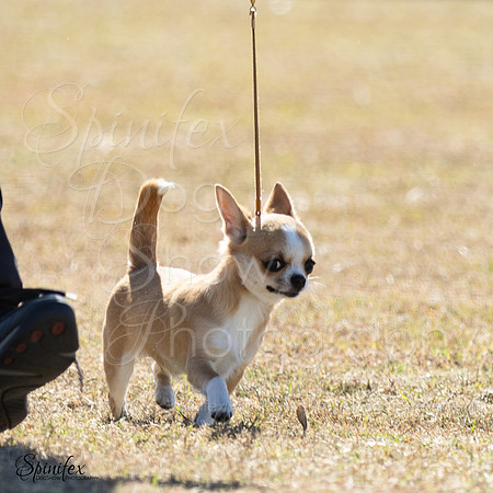 SfxY-4626