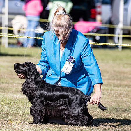 Sfx-4732