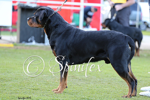 Bullet Sergeevrot (Imp Serbia)