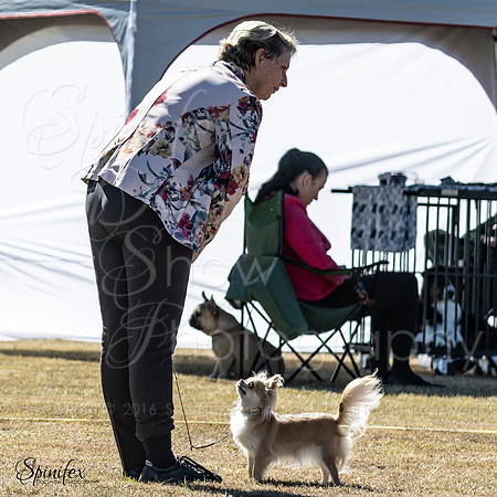SfxY-4608