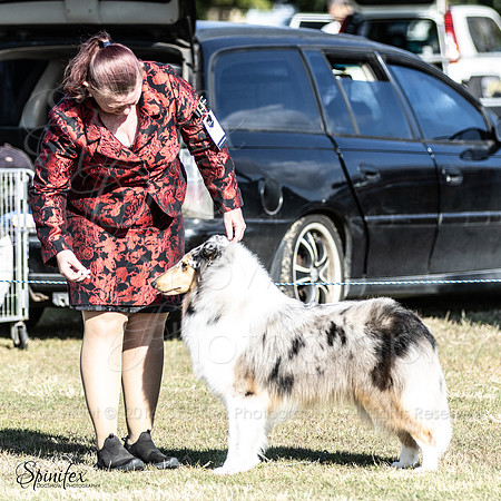 SfxY-6690