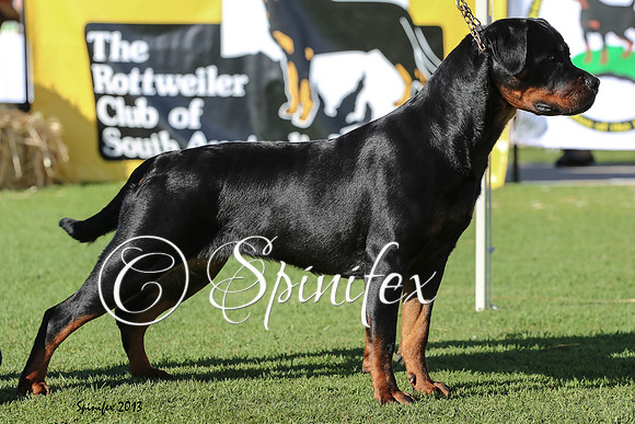 Blickscharf Wicked Winsome