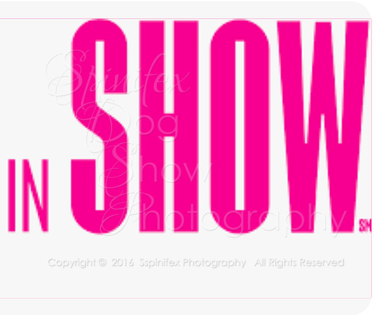 In Show