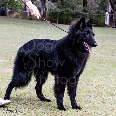 SfxJ-6534