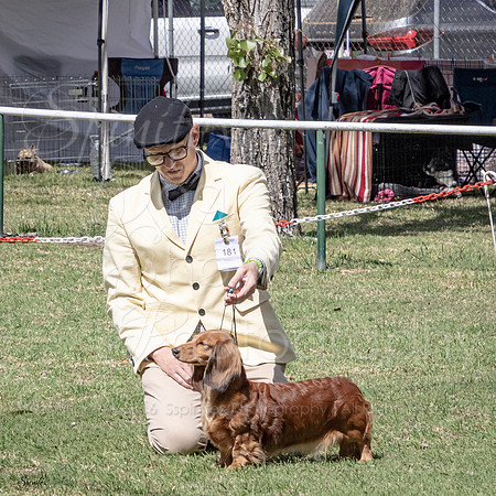 SfxJ-2728