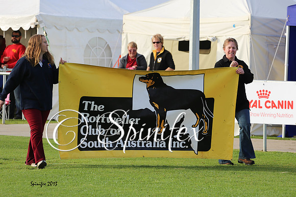 Parade of State Clubs and  Flags