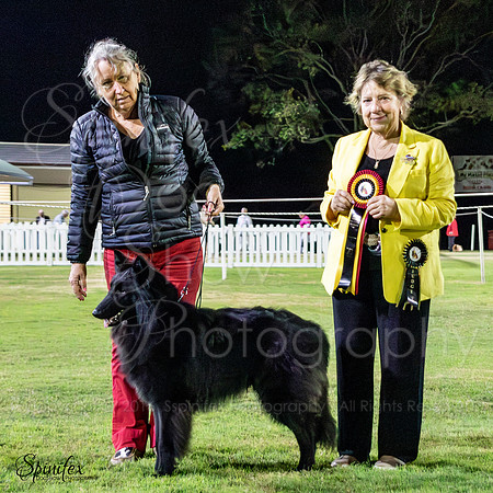 SfxJ--12