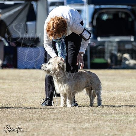 SfxY-4513