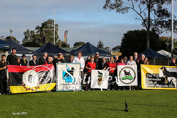 Clubs , stewards , ring steward , judge and SACA rep