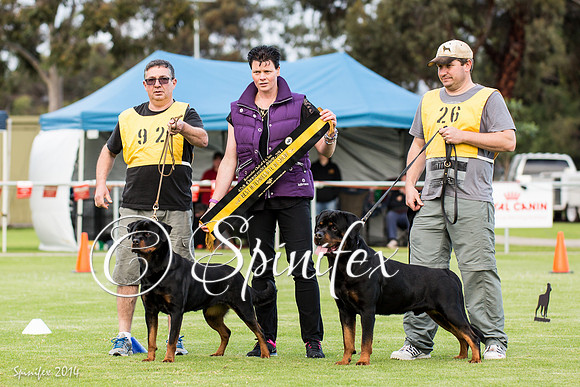 RCSAJ2014-6531