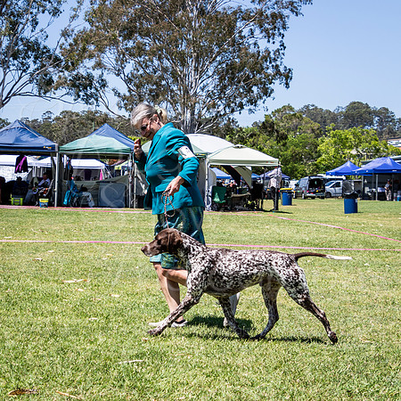 SfxJ-3083
