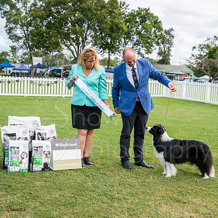 SfxY-8105