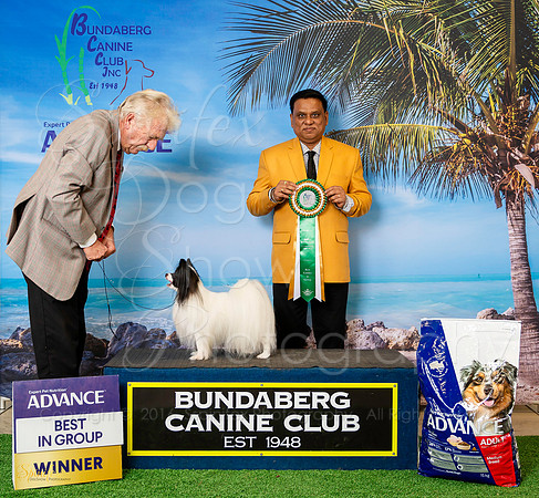 Sfx-0252