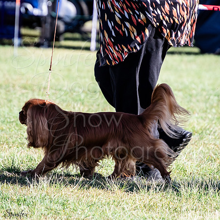 SfxJ-4803