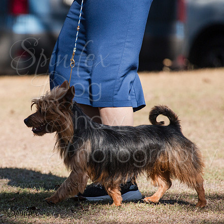 SfxA-9252