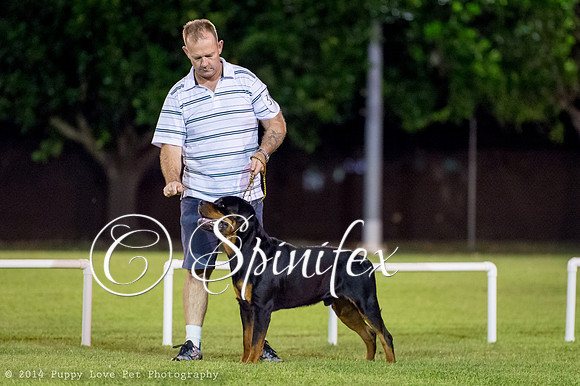 cc_140510_dogs_DABKC_0203