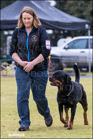 Sfx-0037
