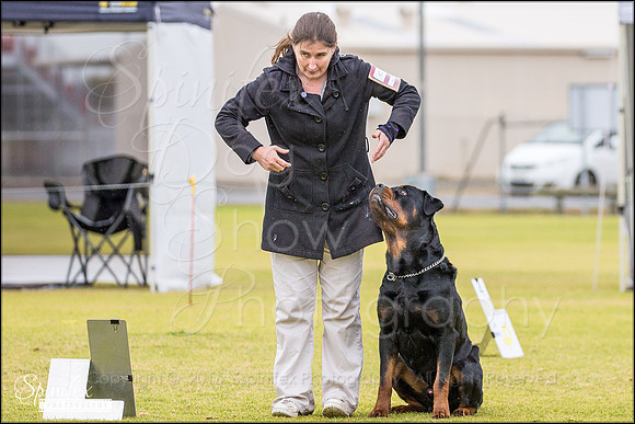 Sfx-0252