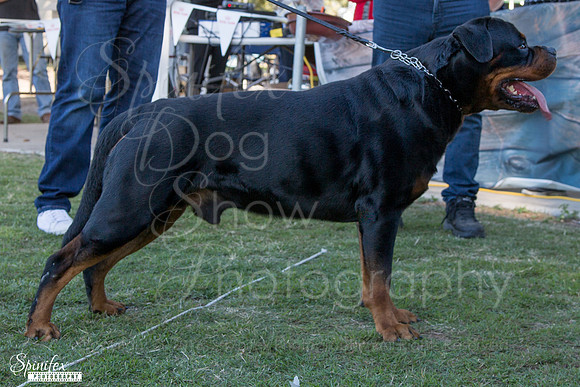 Sfx-0580