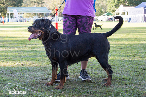 Sfx-1409