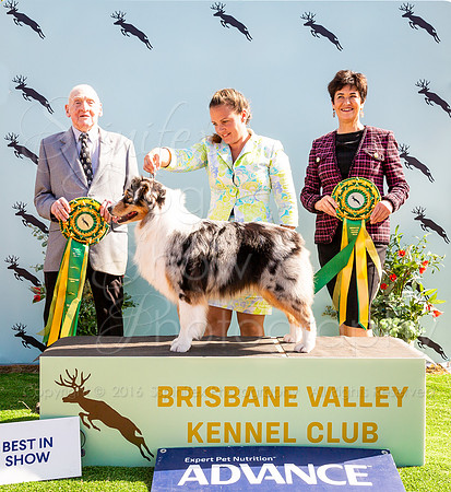 SfxYV-0806