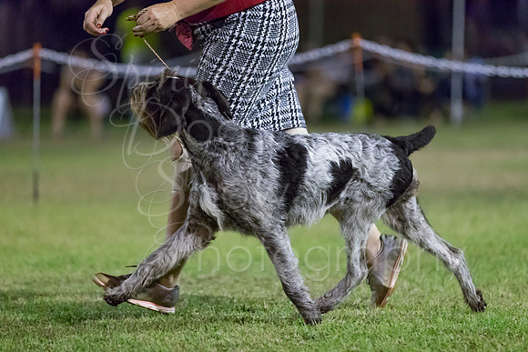 A19I0530