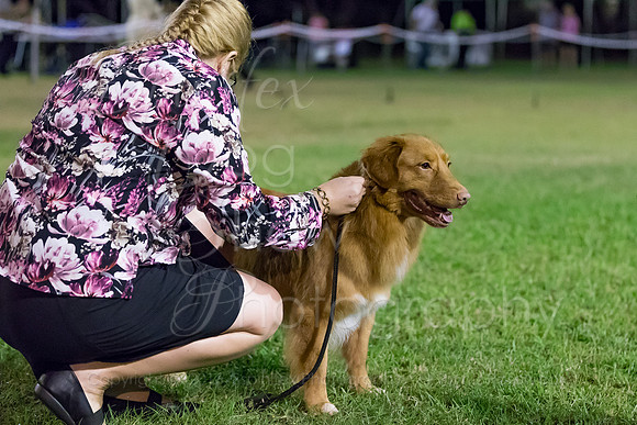 A19I0695
