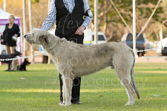 A19I1384