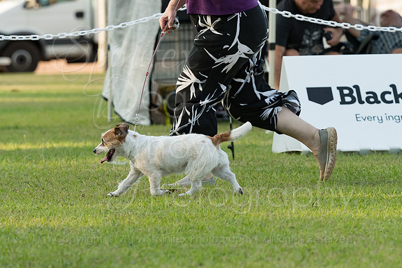 A19I1438