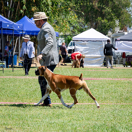SfxJ-5441