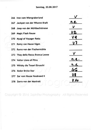 Open Klasse Males 2:2