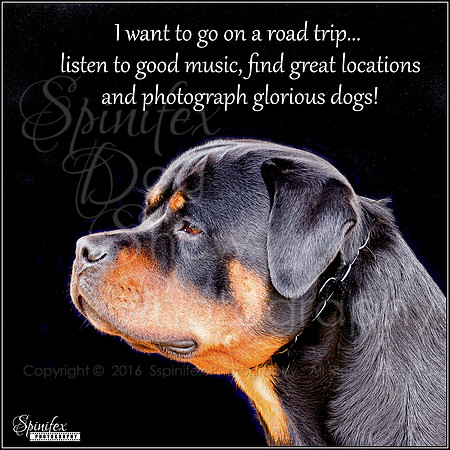 roadtrip2