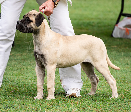 SfxJ-7861