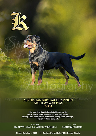 FCDS Rottweiler K