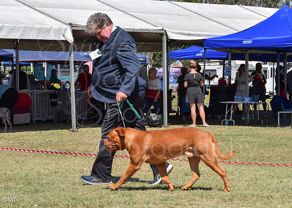 DMT-0496