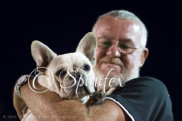 SDHC_0082