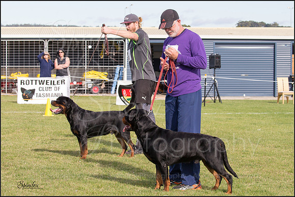 Sfx-9521