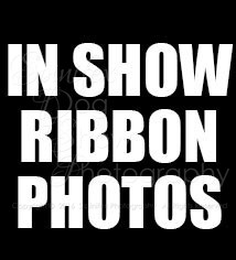 in-show-ribbon-photos