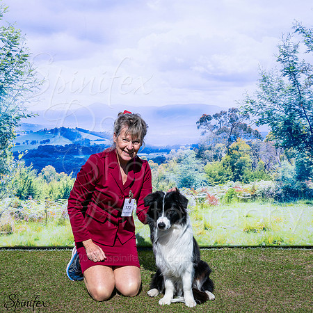 SfxY-2453
