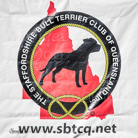 SBTCQ-2481