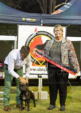 SBTCQ-3945