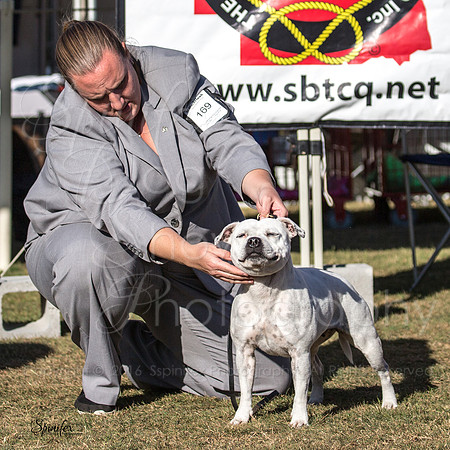 SBTQ-4481